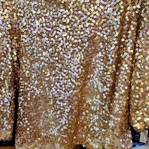 Gold Sequined Blouse